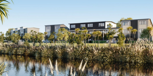 White Associates Quantity Surveyors Creating a major community housing asset at Puhinui Park